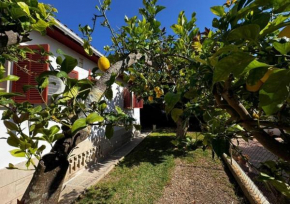 Casa Carla in Can Picafort